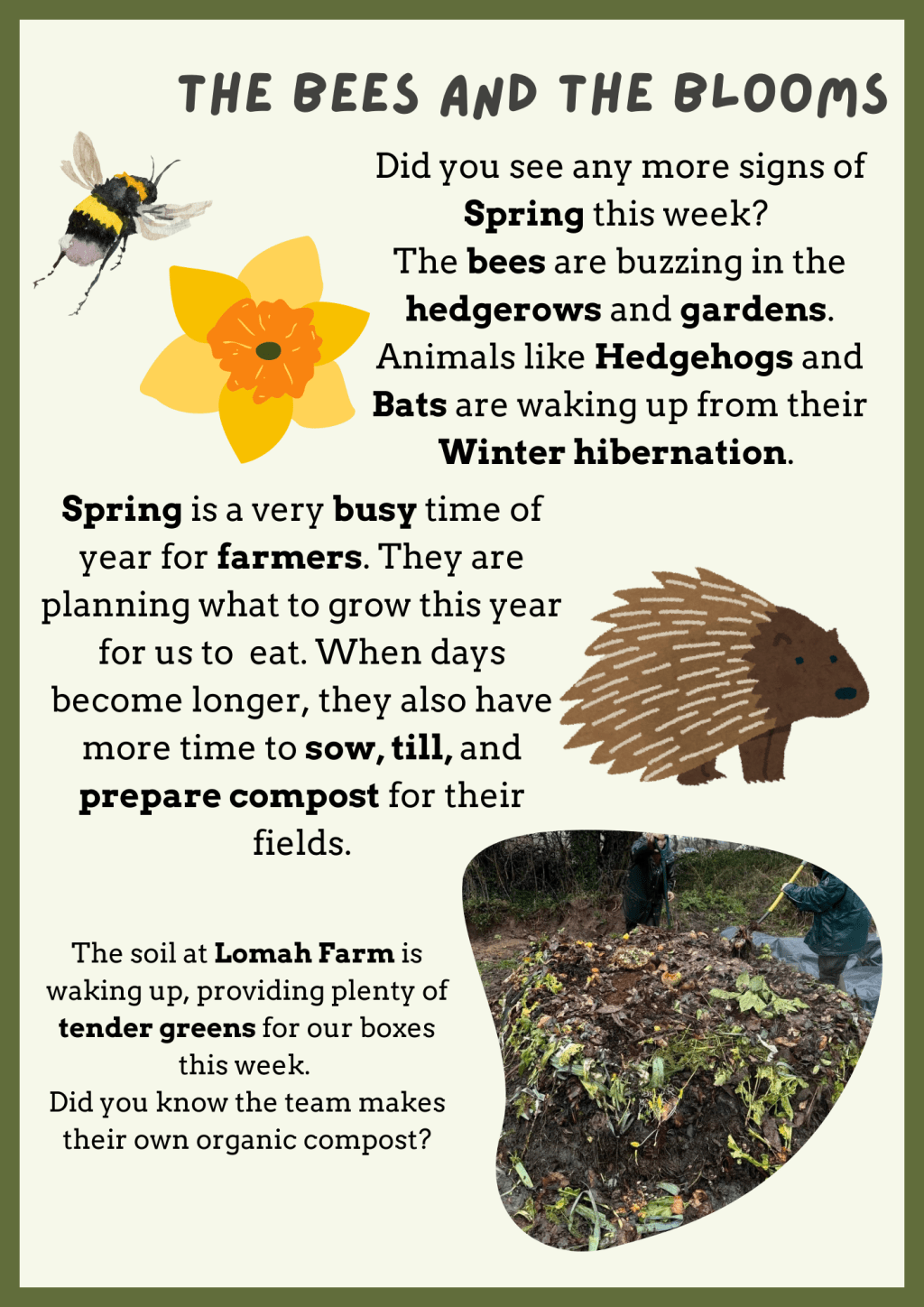 The Bees and the&nbsp;Blooms