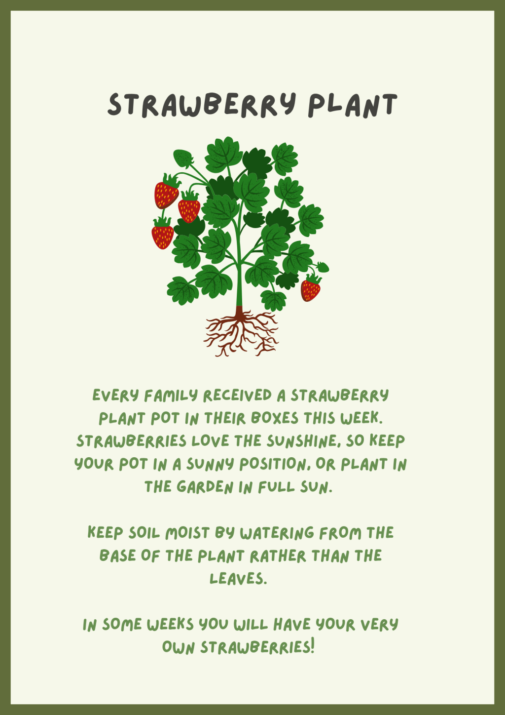Grow your own&nbsp;strawberries!